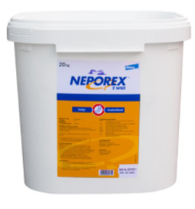 Neporex